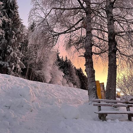 Luserblick Haus im Ennstal Luaran gambar
