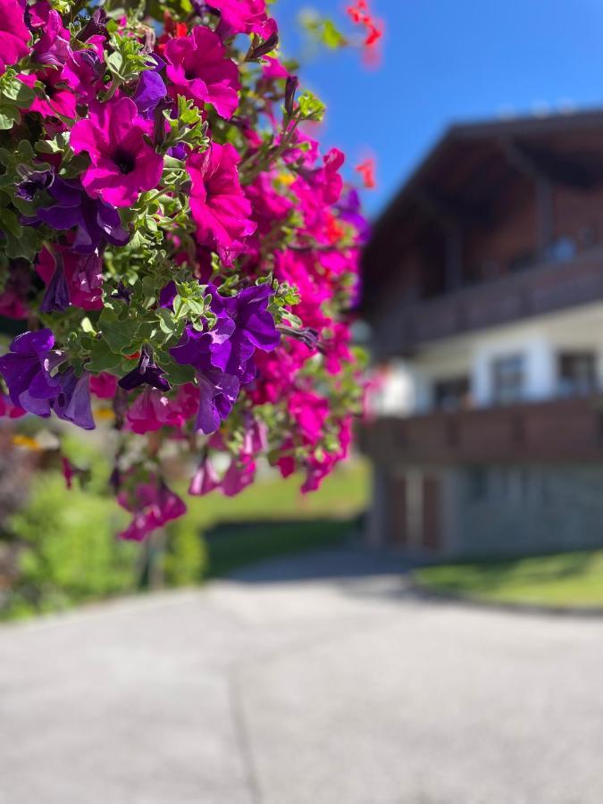 Luserblick Haus im Ennstal Luaran gambar