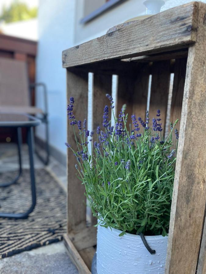 Luserblick Haus im Ennstal Luaran gambar