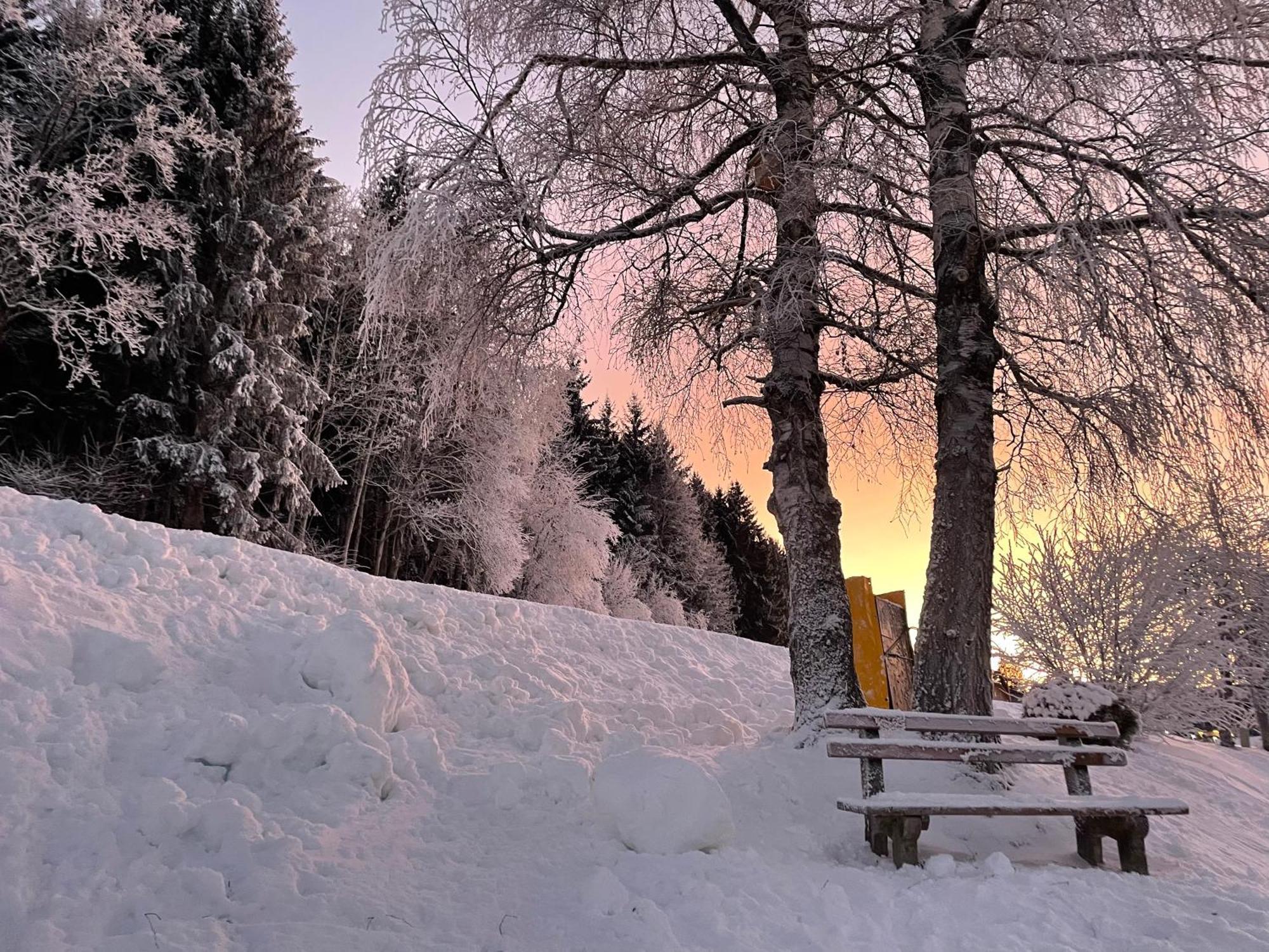 Luserblick Haus im Ennstal Luaran gambar